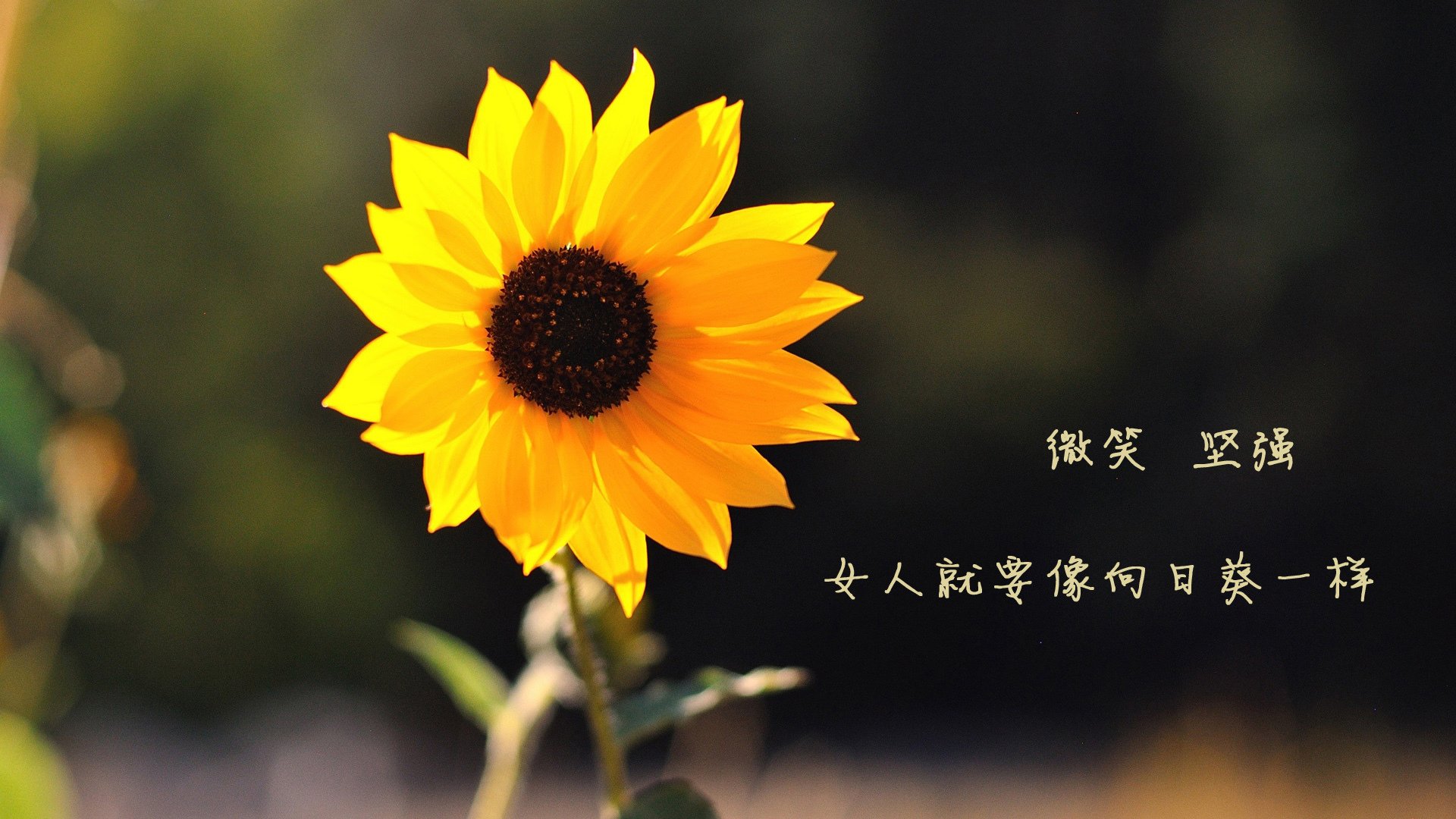 马赛领袖在一场重要比赛中力克对手，展现出强大实力，马赛主帅