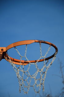 开云官网在线-NBA球员体能训练计划设计与效果评估，nba球员的体能训练