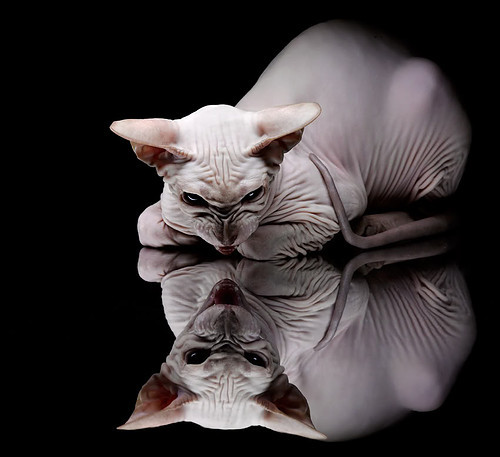 五大联赛是否增加门将边路长传成功率考核权重，五大联赛射门次数榜