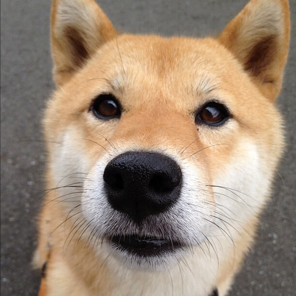 体育社交平台用户持续增长内容多元活跃，体育社交软件