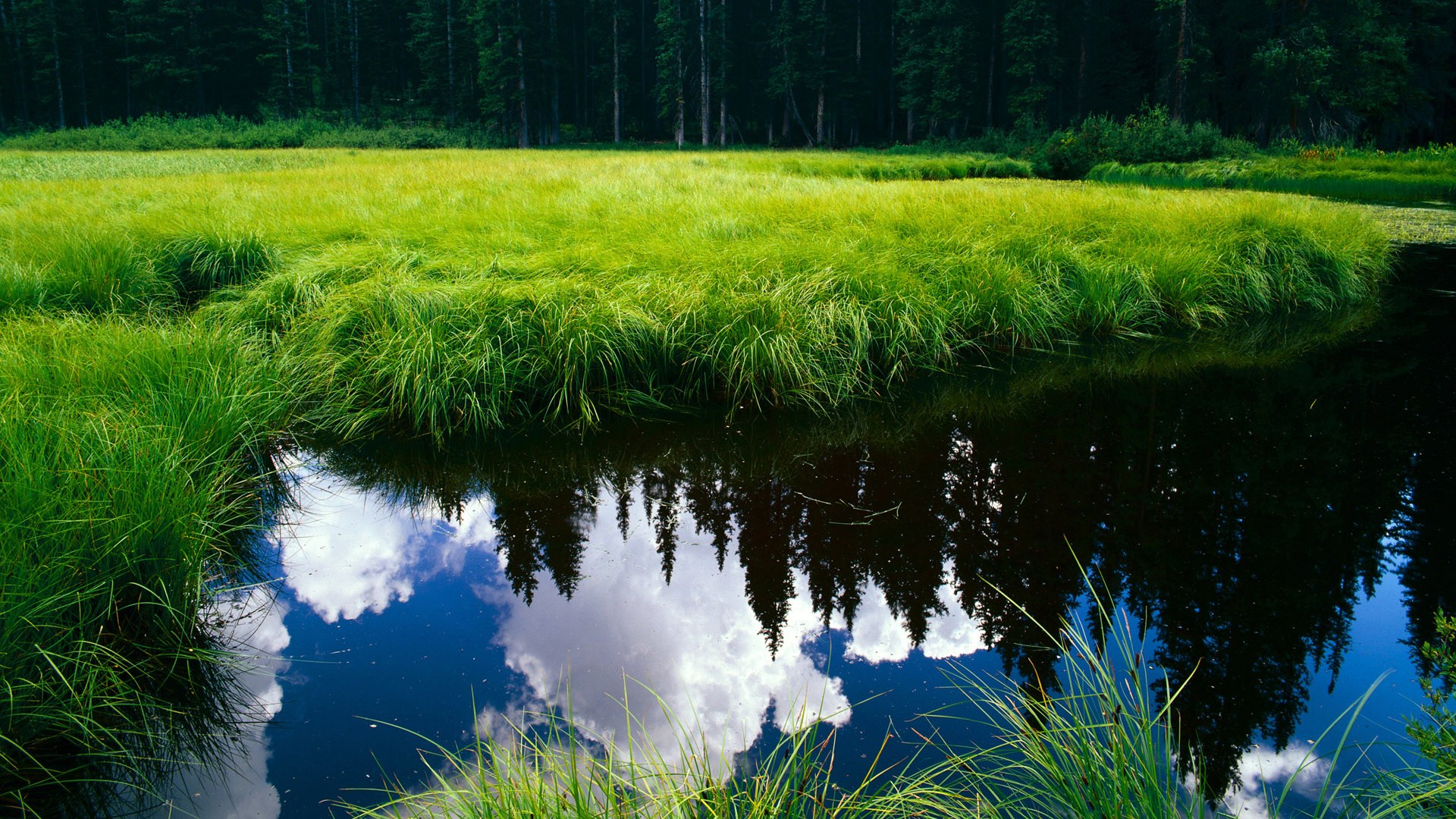 团体赛制中的澳大利亚队：如何在多变赛制中占得先机，澳大利亚队伍