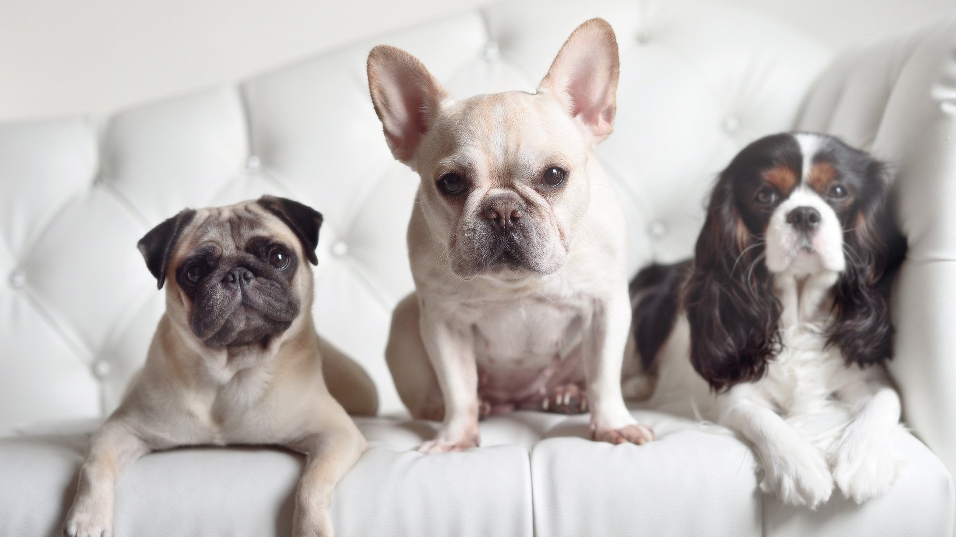 比赛节奏是否能通过对位压制来干扰,在比赛中如果选手的基本节奏错误则该选手判为