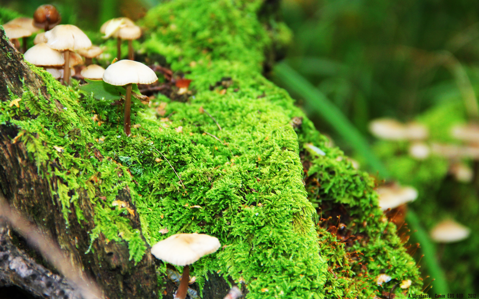 kaiyun-辽粤大战再上演宿敌对决火药味十足，2月3日辽粤大战回放