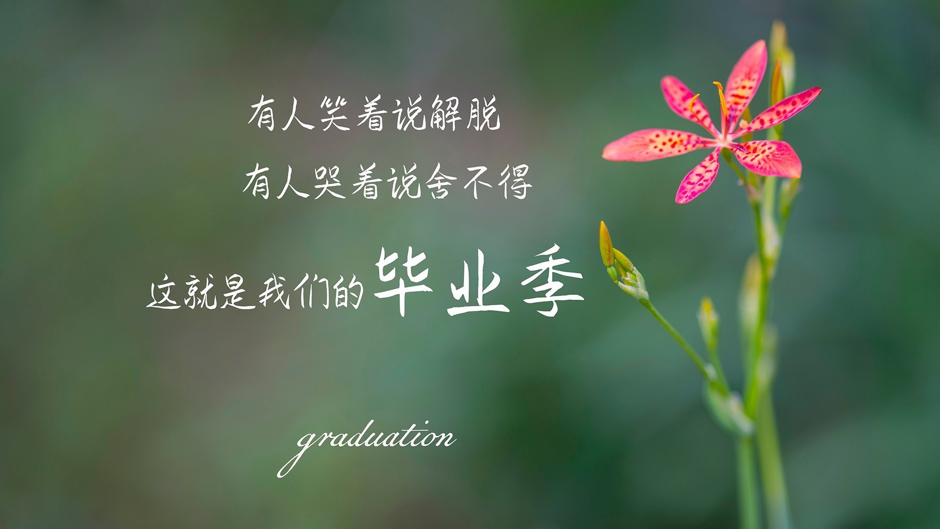 乌克兰男篮在欧洲锦标赛中夺冠,展现新实力