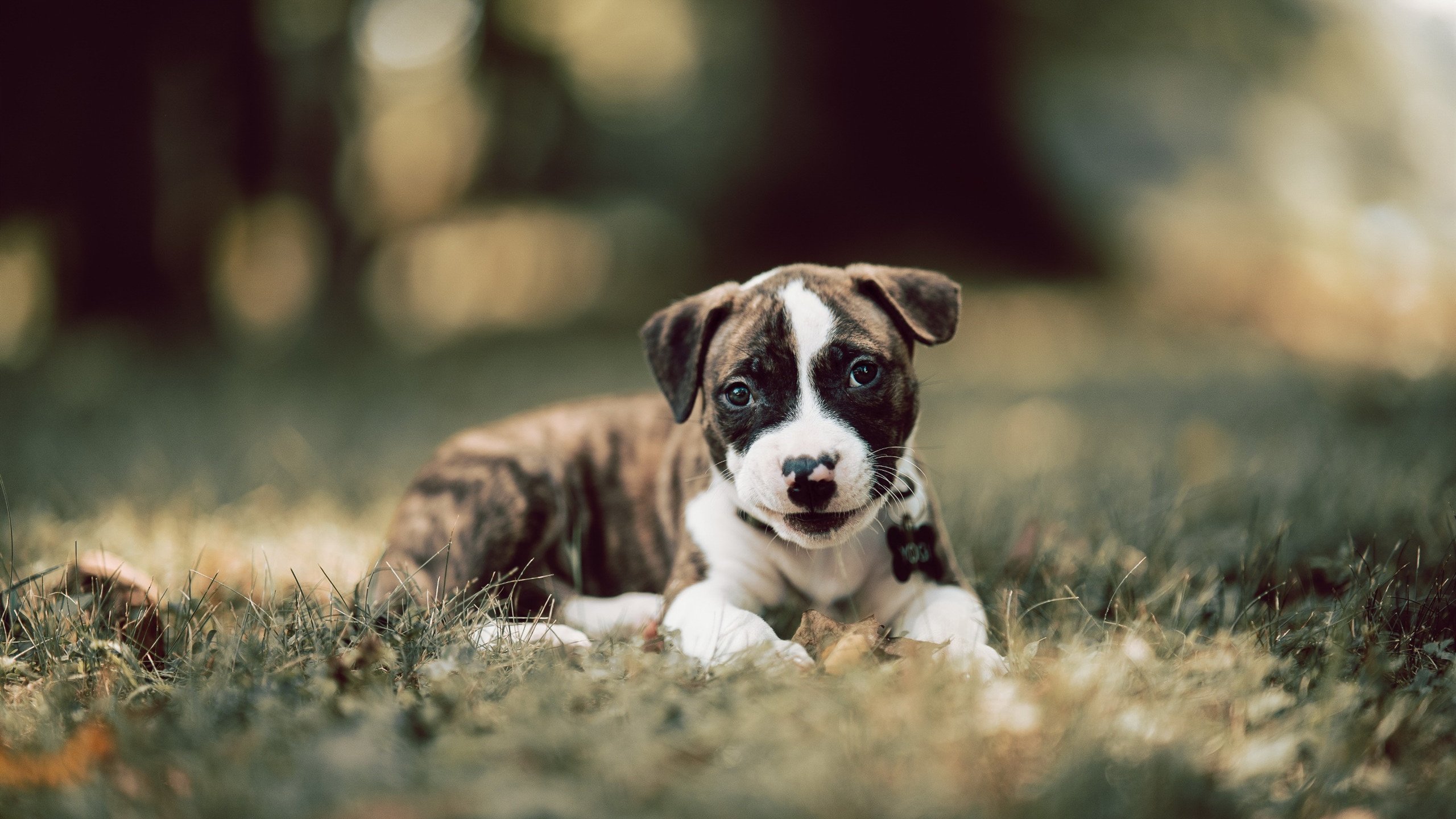 体育新闻中心历史经典重现,体育新闻历年片头(1992-2020)