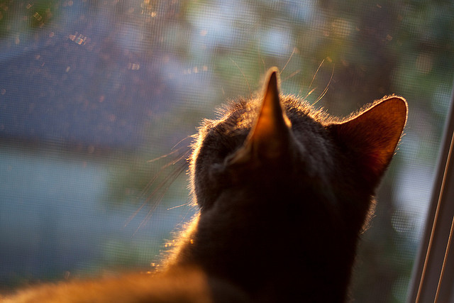 开云体育视频直播-德甲火爆鏖战：攻防转换节奏快得令人窒息，德甲打法