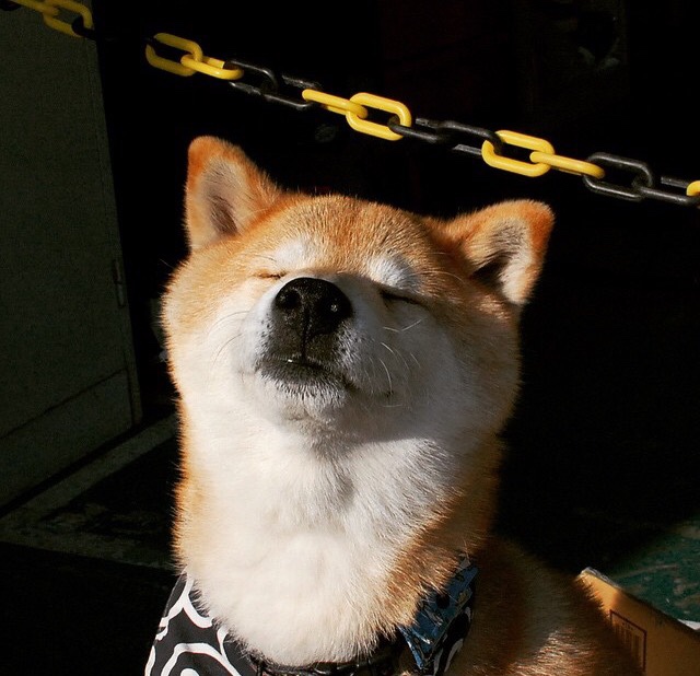 开云体育在线赛事直播-意甲团队合作：策划完美，赢得胜利！，意甲队伍关系