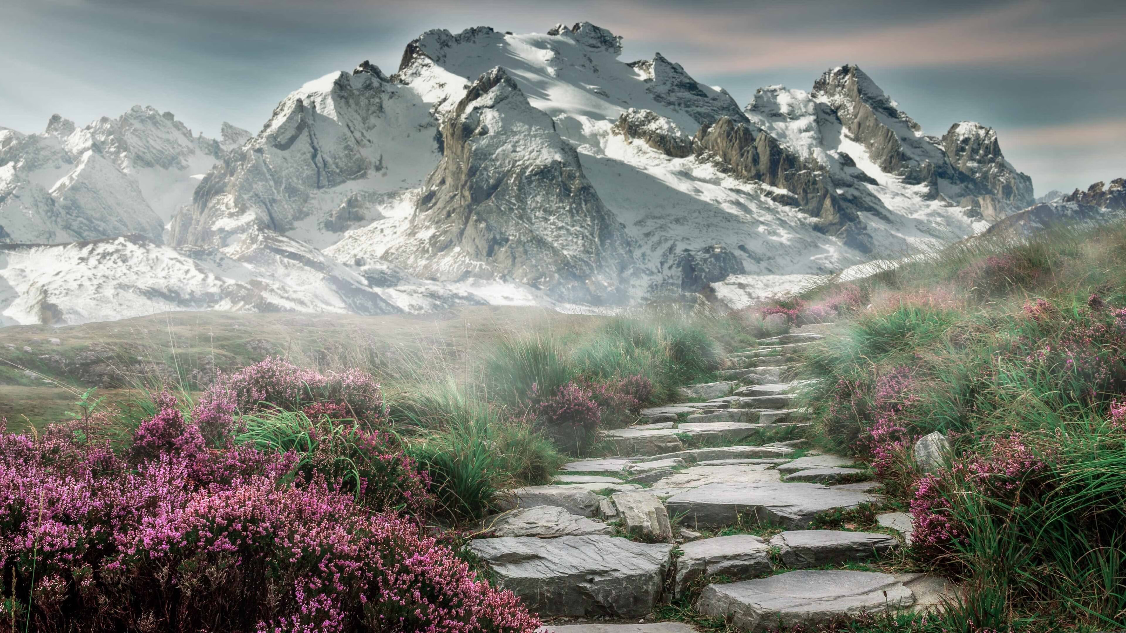 开云官方-湖人重组阵容浓眉状态回暖助球队反弹，湖人队浓眉组合