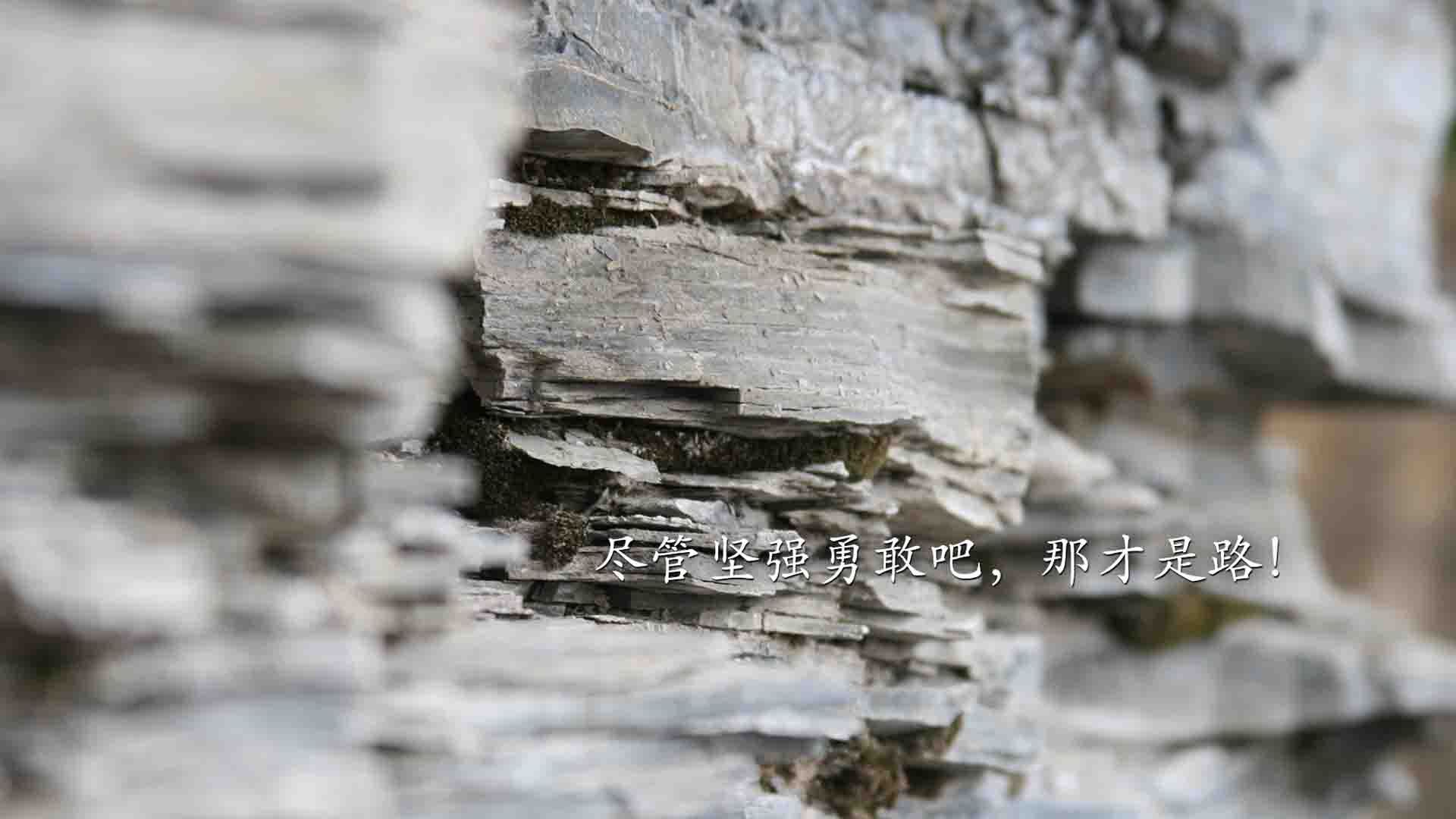 英超快节奏:技能与耐力的完美融合,英超速度快的球员